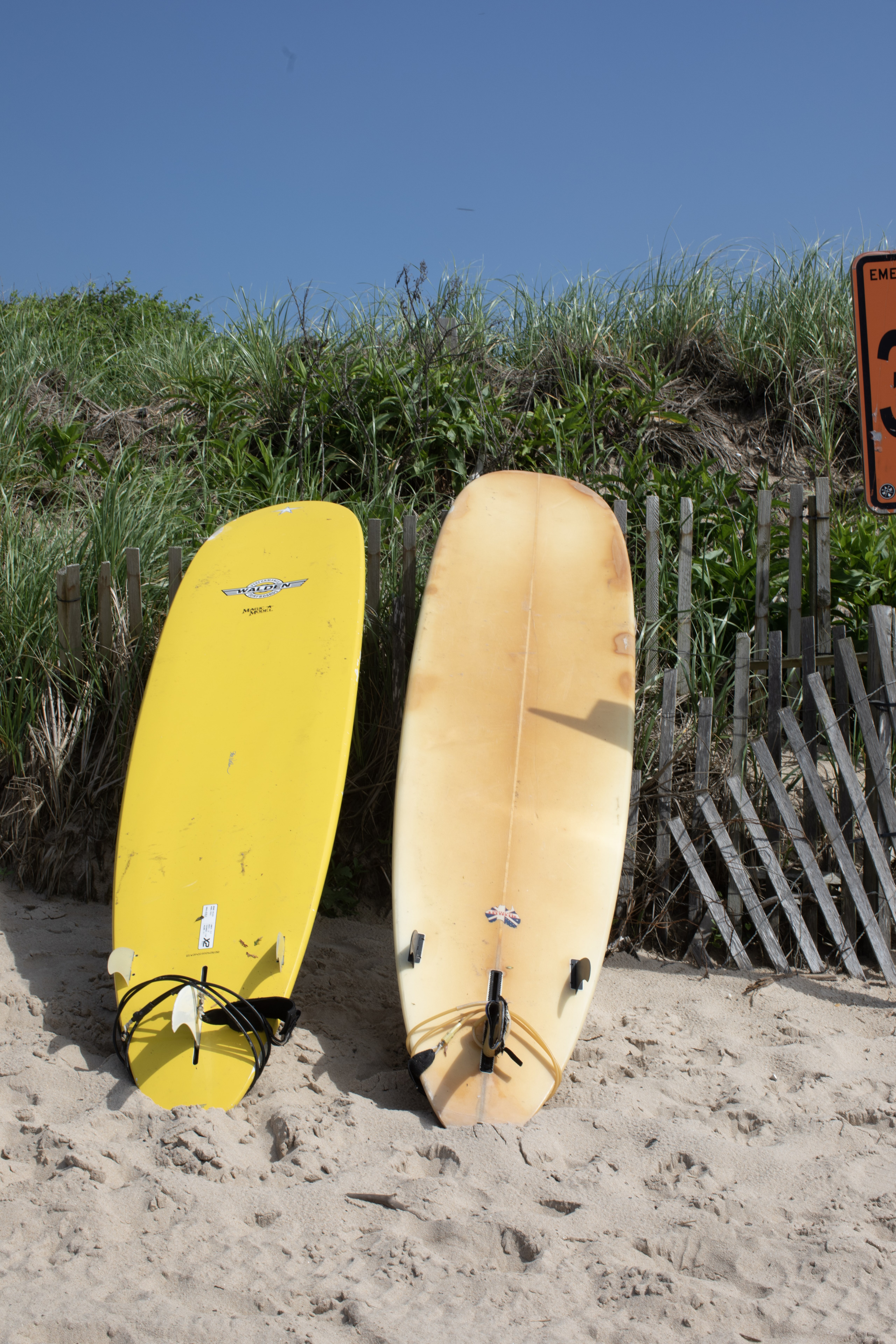 Surfboard Rentals
